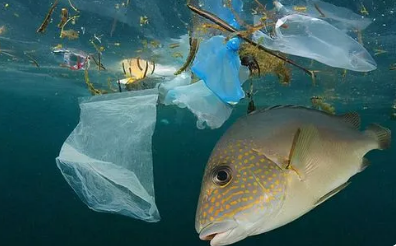 生态环境部：积极加强塑料污染治理，落实相应法律要求!